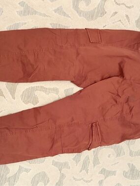 Sanctuary Men's Rust Chino Pants